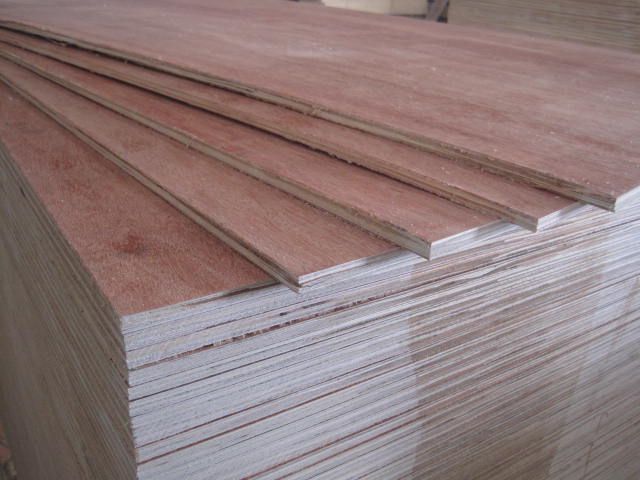Commercial Bintangor Plywood (Packing Plywood)