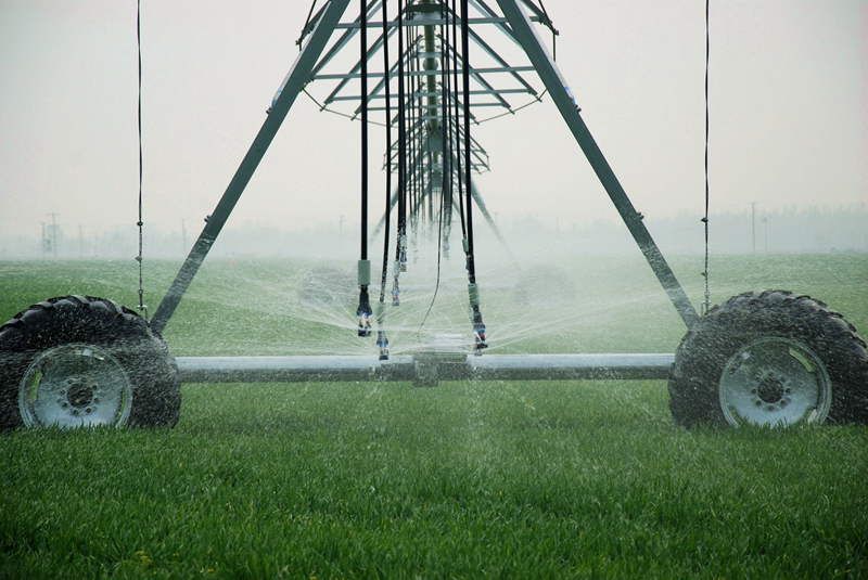 Agricultural center pivot sprinkler spraying irrigation