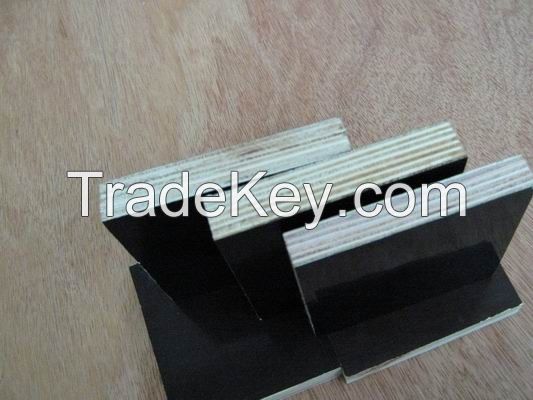 supply black film and brown film faced plywood