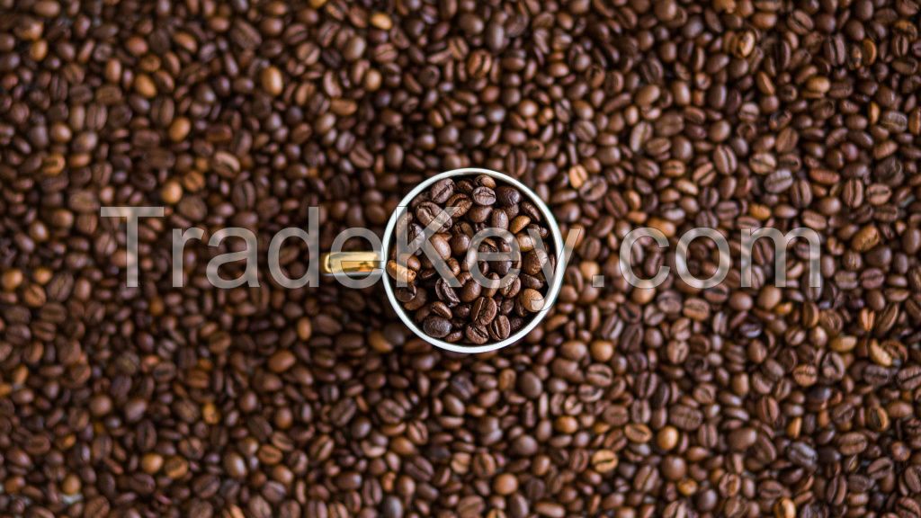 Wholesales Arabica Roasted Coffee Beans.