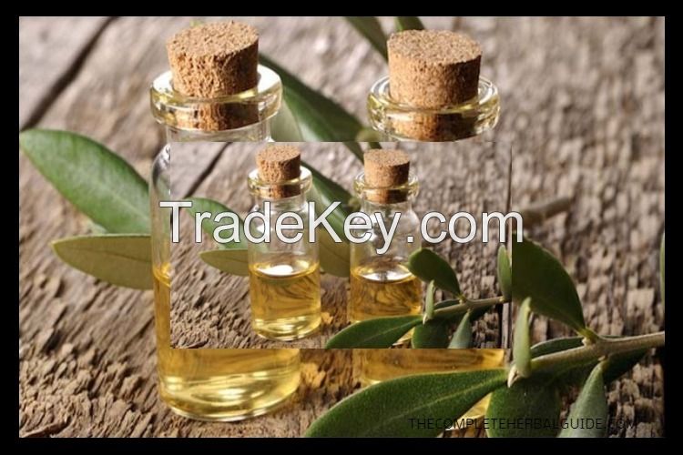 Tea Tree Oil