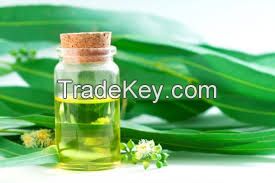 Eucalyptus, Smithii Essential Oil