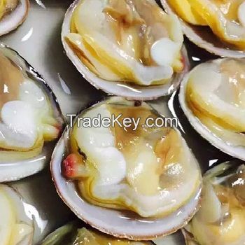 With / Without Shell Frozen Boiled Baby Clams