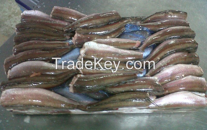 Fresh Hake Whole Fish/ Frozen Hake Fish Fillet Hake