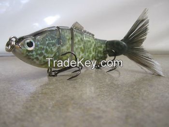 Pumpkinseed Fish