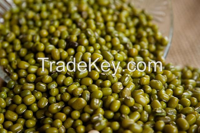 Green Mung Beans