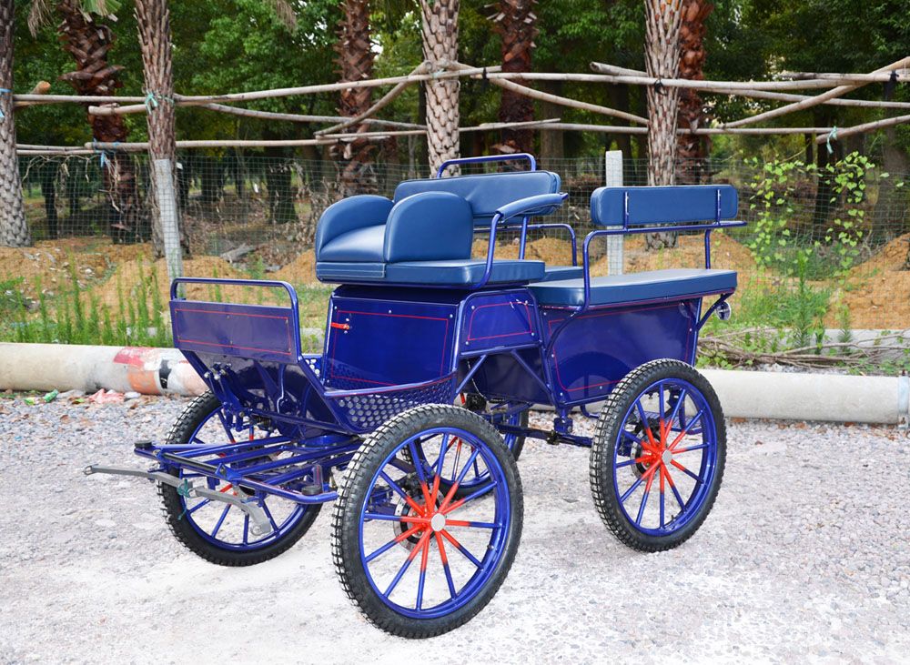 Pleasure horse Wagon horse carriage