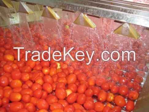 Sell tomato paste equipment-TRIOWIN in Shanghai