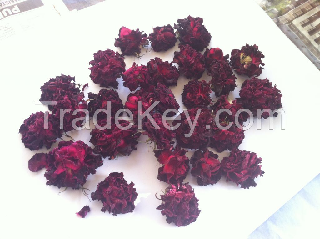 Exporter of Dried Flowers