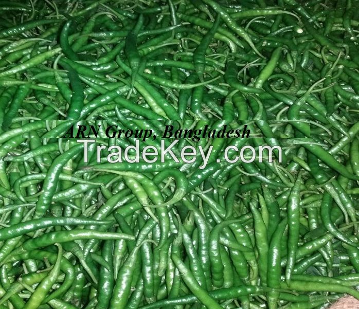 Fresh green chilli