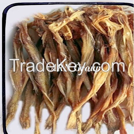 Dried Fish