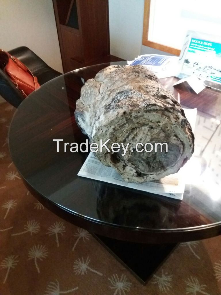 Ambergris for Sale