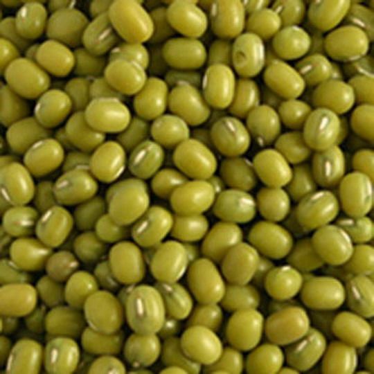 Sell green mung bean
