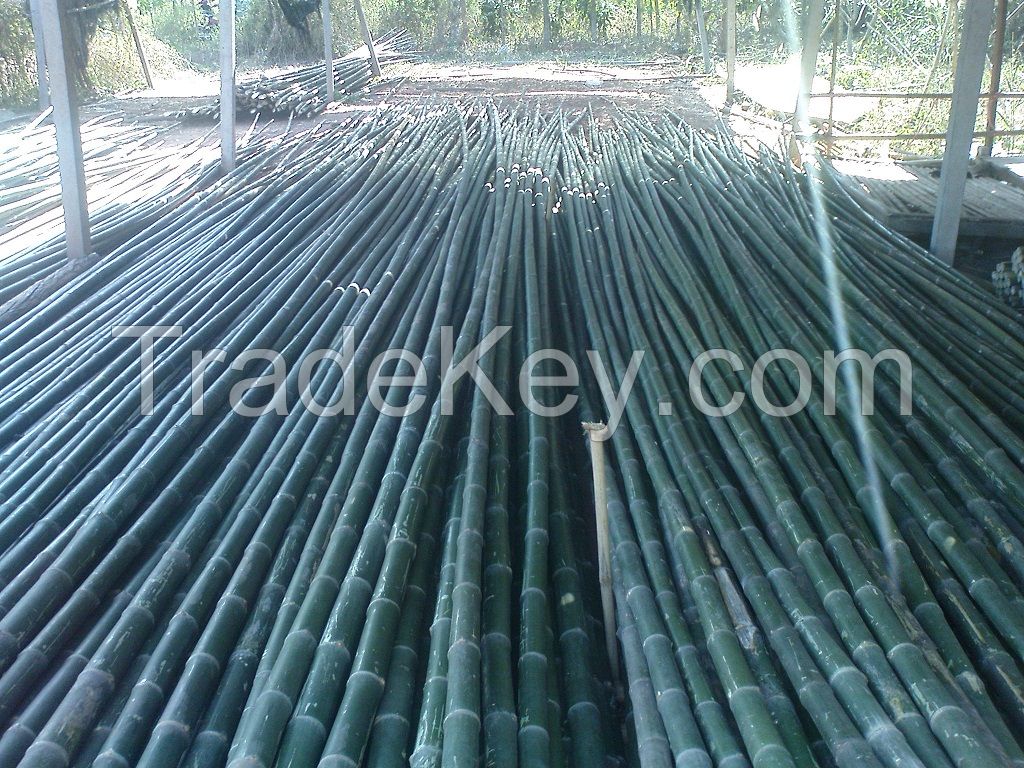 Sell Bamboo Cane