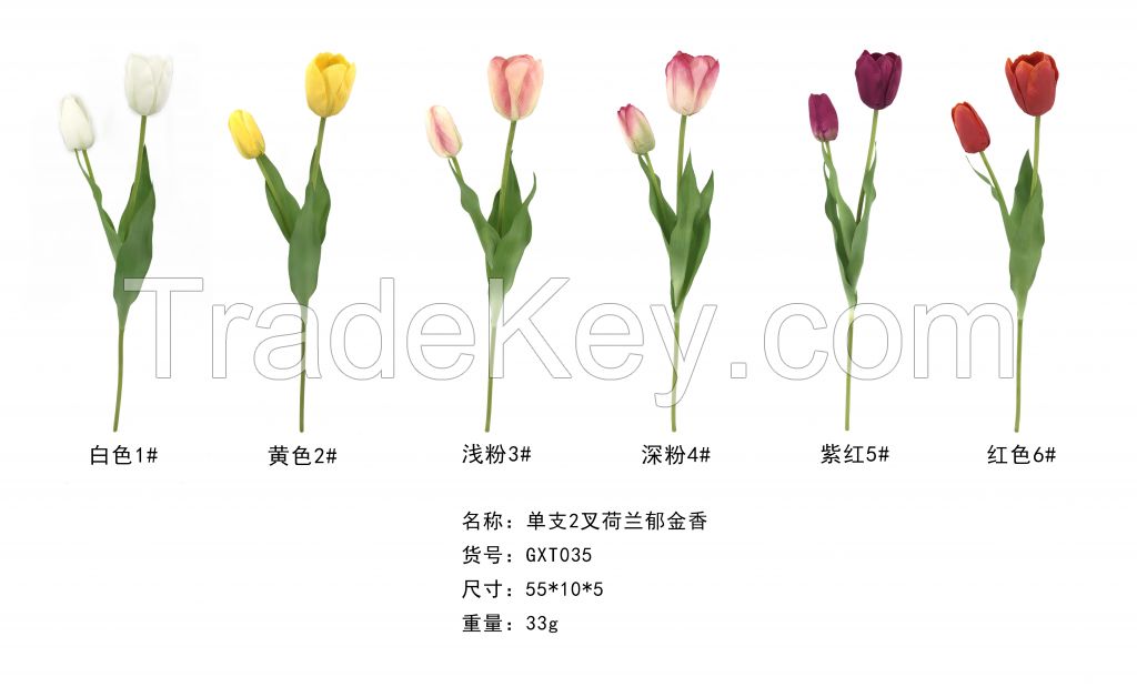 Single Stem 2 Branches Holland Tulip