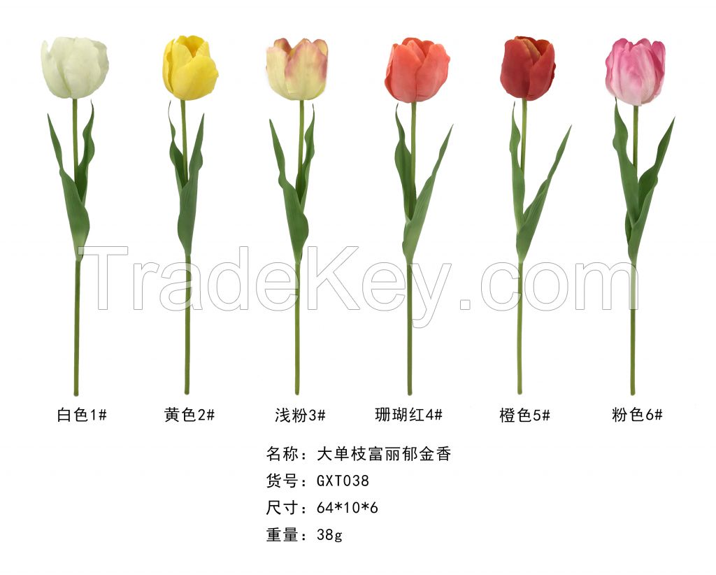 Long Single Stem Splendid Tulip