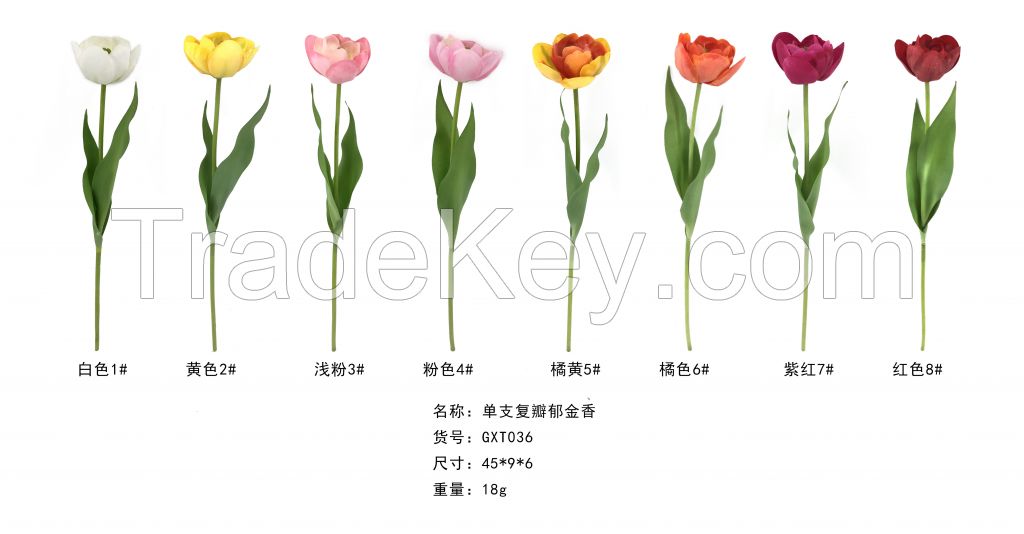 Single Stem Double-petalled Tulip