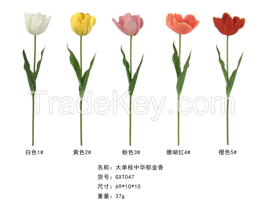 Long Single Stem China Tulip