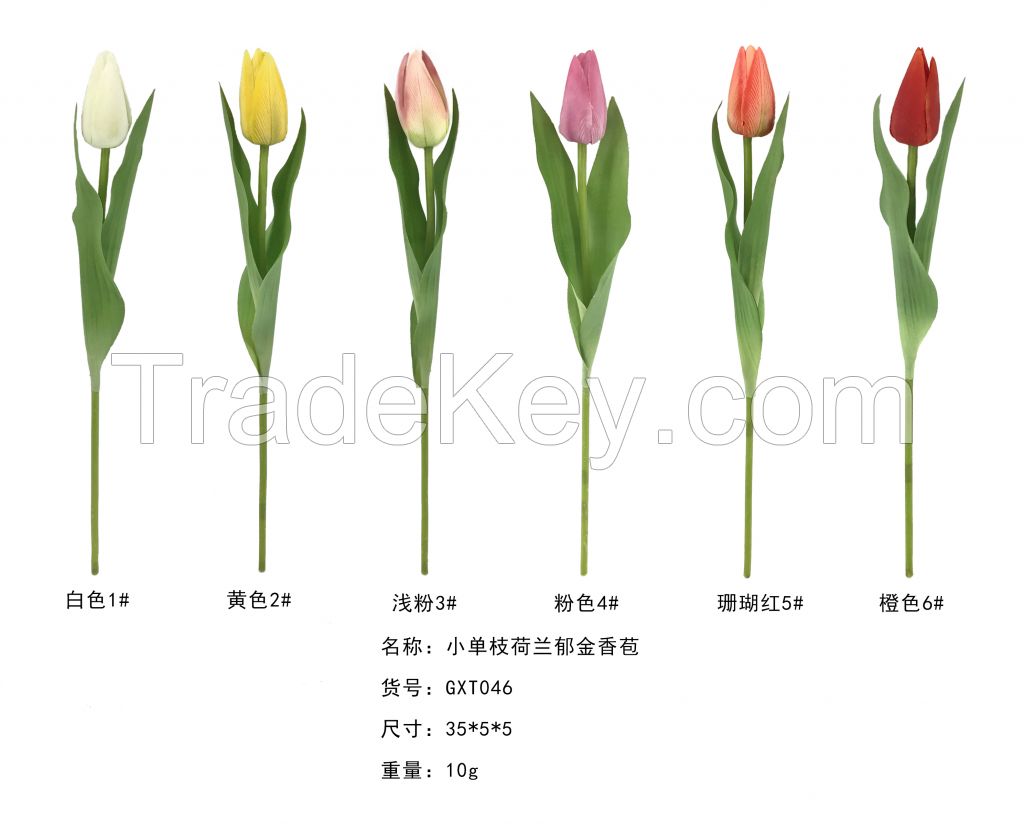 Short Single Stem Holland Tulip Bud