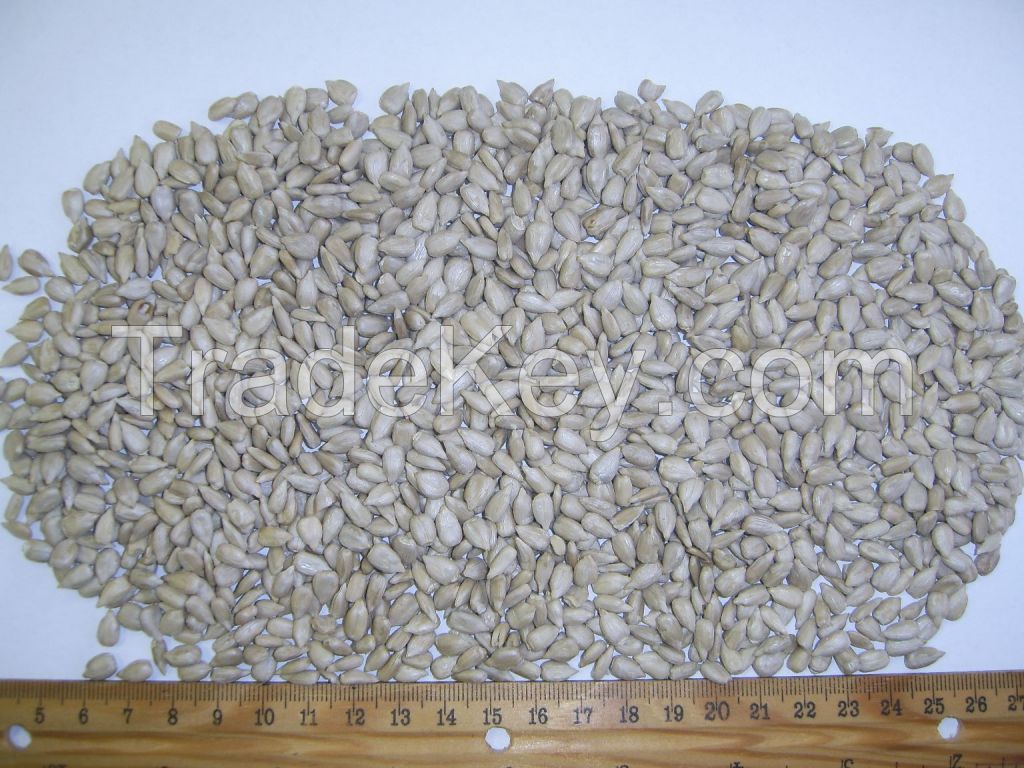 Hulled sunflower kernels - Bakery grade Premium High Oleic