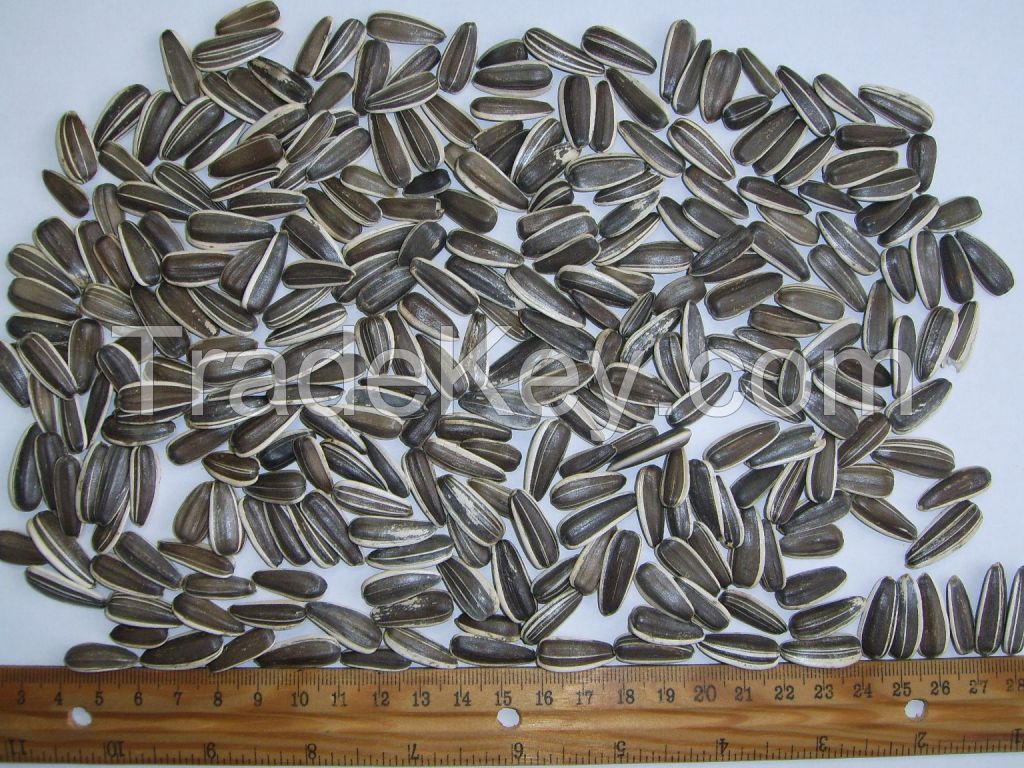 Sell Striped sunflower seeds - Confeta Jaguar 22/64