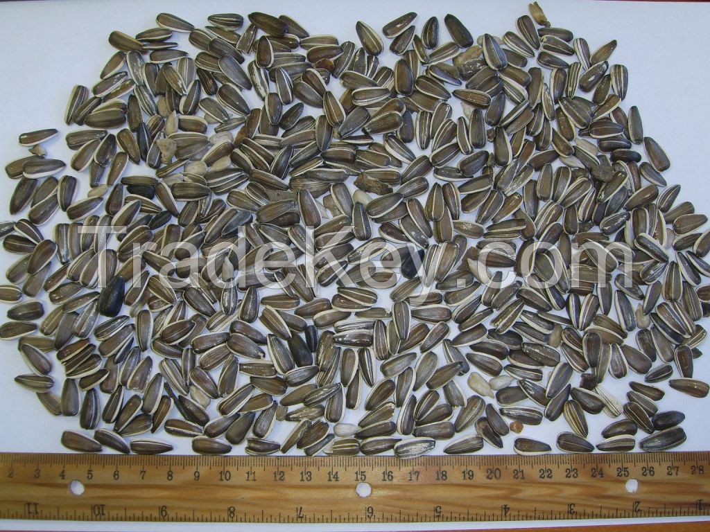 Sell Striped sunflower seeds - 16/64 for Bird Feed
