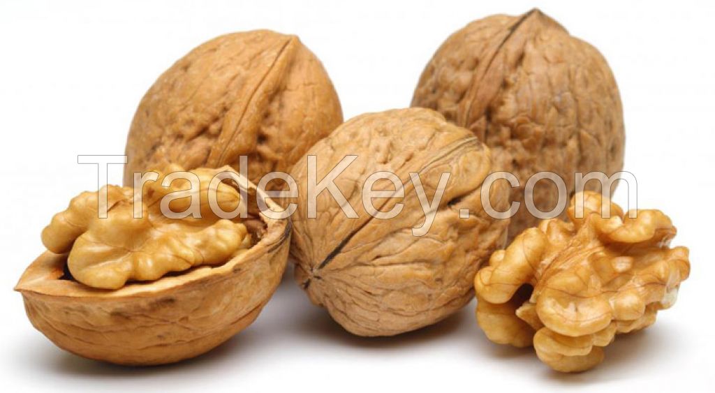 Sell walnut kernels