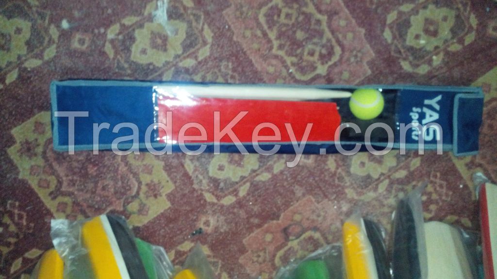 Cricket Bat Kids Set