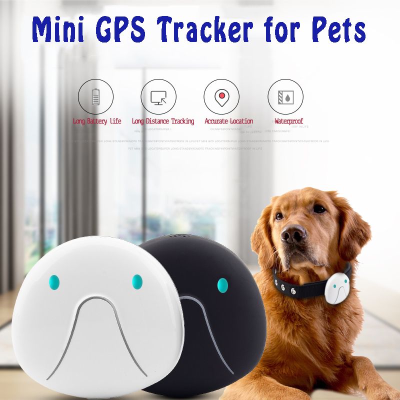 Sell Pet/Dog GPS Tracker