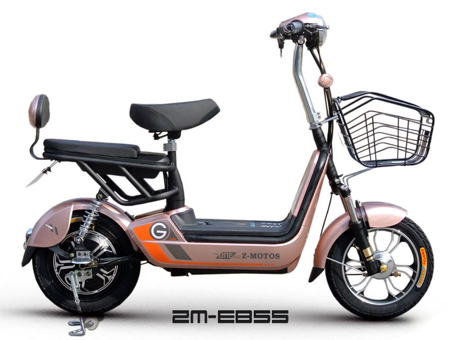 Supply electric bikes