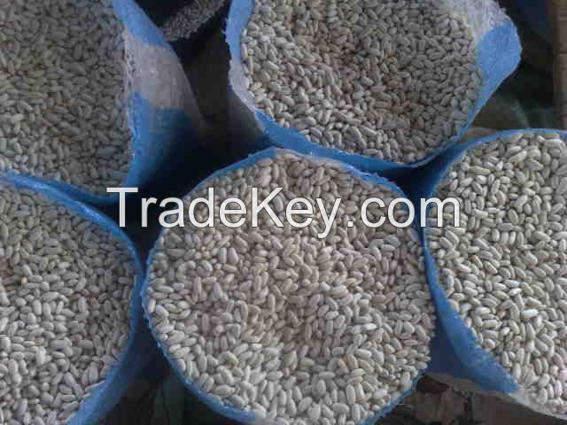 We offer white kidney beans