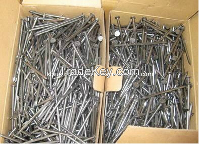 Polished Common Nail with High Quality