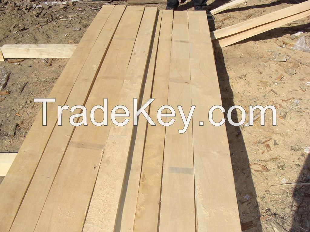 birch lumber