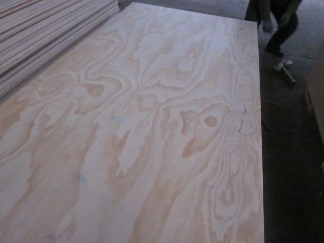 Sell pine plywood