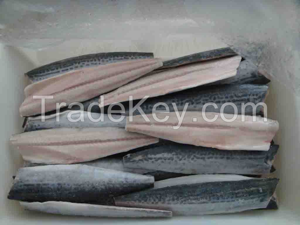 fresh frozen spanish mackerel fillet king mackerel