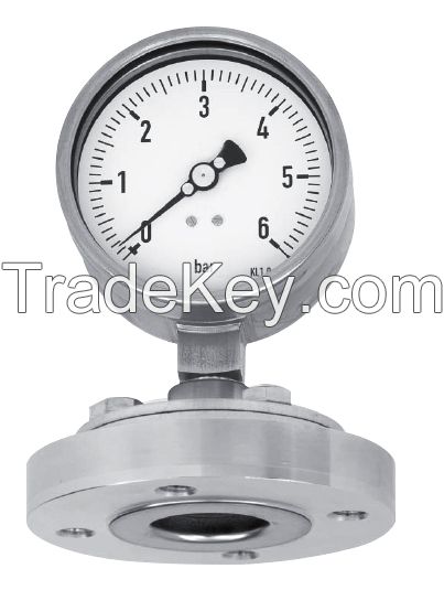 Flanged Process Connection Diaphragm Pressure Gauge (Flush Connection Type)