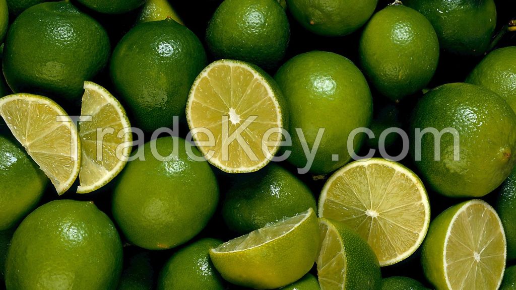 Supply Fresh Lime, Lemon