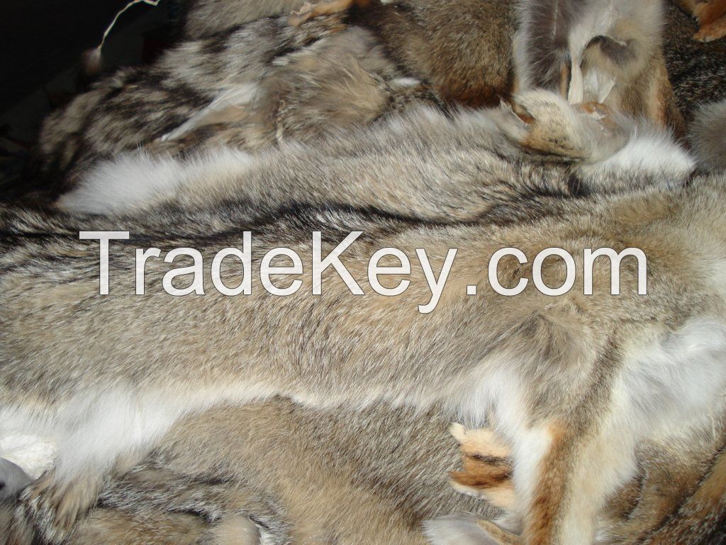TANNED ARGENTINIAN FOX SKINS