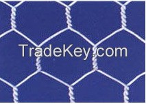 Sell Hexagoanl Wire Netting