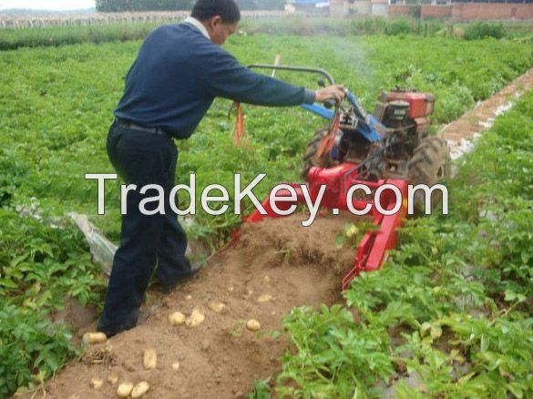 High Quality / Heavy Duty Potato Harvester