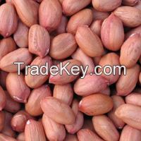 Peanuts Kernel, Raw Peanuts, Groundnuts, High Quality Dried New Crop