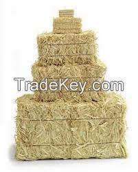 straw hay bale, wheat hay, animal filler straw bale, hay straw