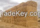 wheat straw hay, animal filler straw hay, wheat hay bale, cattle feed hay