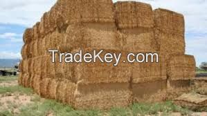 hay wheat straw, cattle feed straw, animal filler wheat straw, hay straw bale