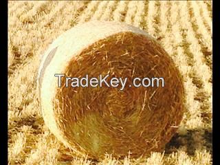 wheat hay straw, wheat straw bale, hay for animal, cattle feed bale, straw bale