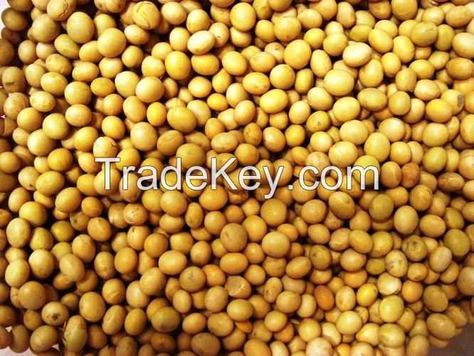 We provide you Soybean Meal