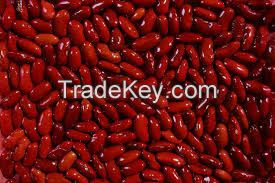 Dark Red Kidney Beans