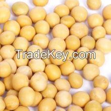2014  new crop dry yellow beans / soy beans non gmo soy beans