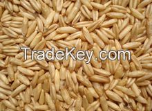 Naked oats/Hulled Oats