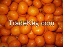 fresh mandarin orange citrus fruit